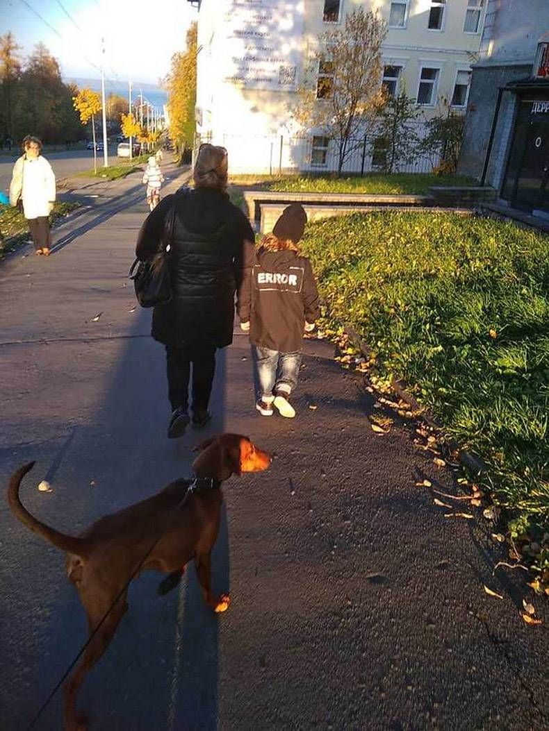 Gewoon een verzameling hilarische foto's #1037