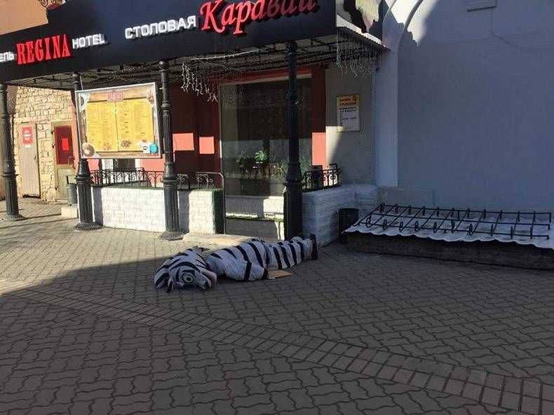 Gewoon een verzameling hilarische foto's #961