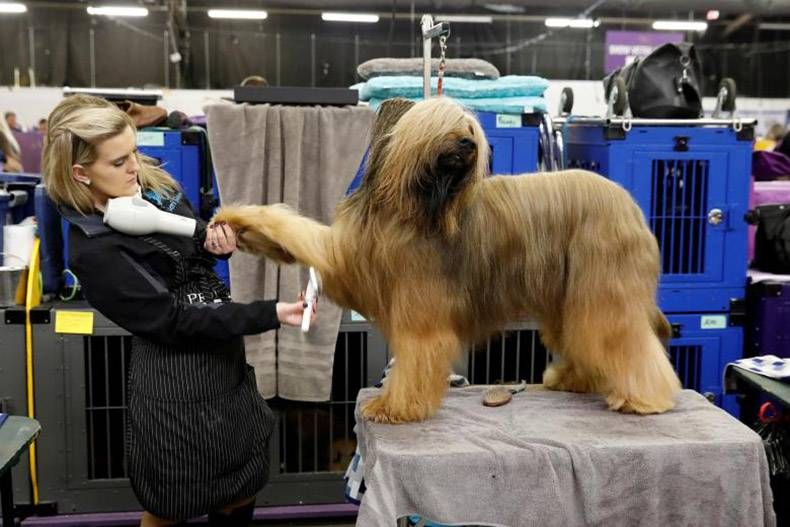 Gewoon een verzameling hilarische foto's #934