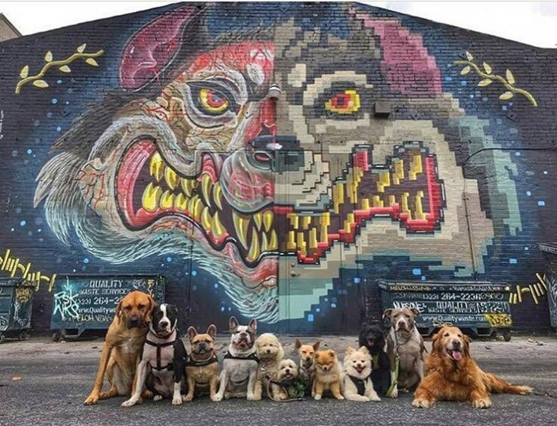 Gewoon een verzameling hilarische foto's #823