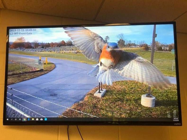 Gewoon een verzameling hilarische foto's #1247