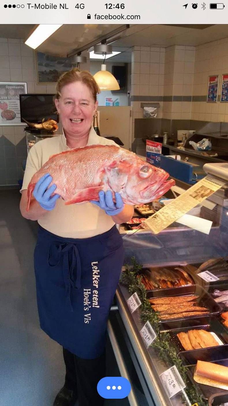 Gewoon een verzameling hilarische foto’s #858