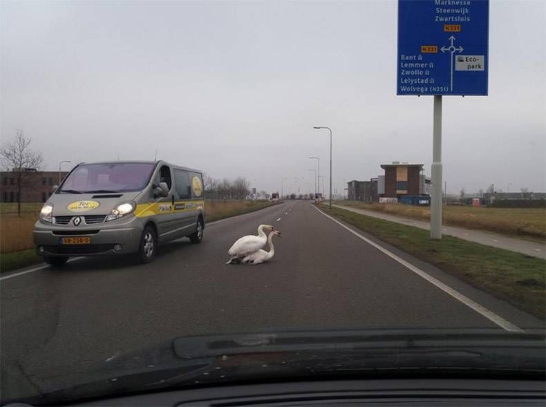 Gewoon een verzameling hilarische foto's #778