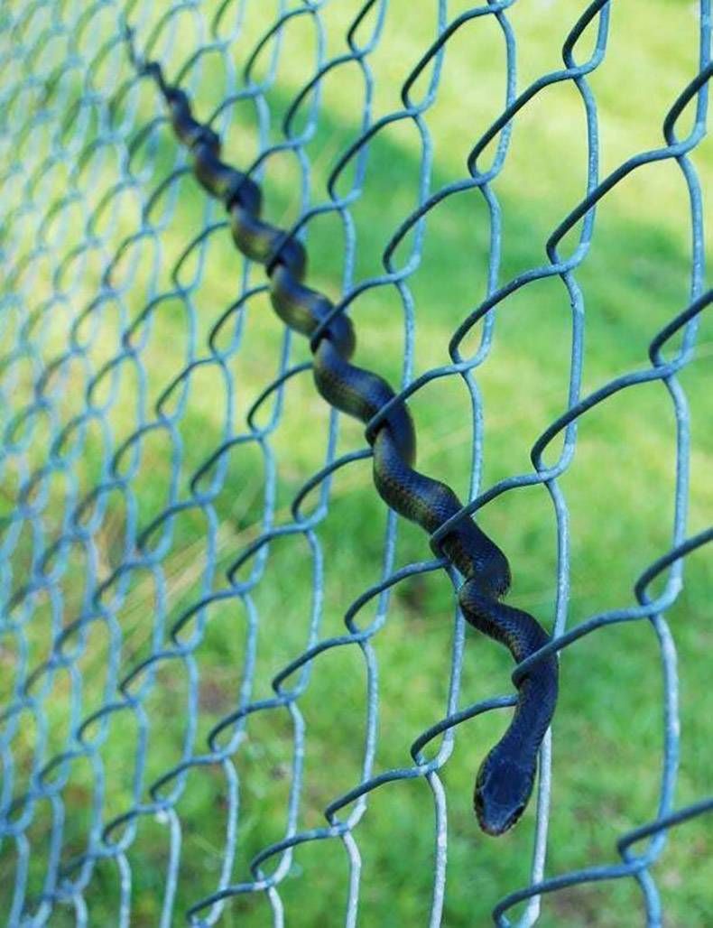 Gewoon een verzameling hilarische foto’s #1364