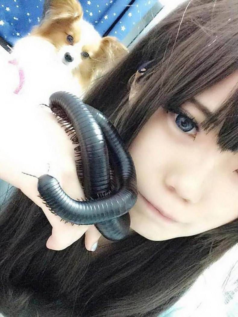 Gewoon een verzameling hilarische foto's #1179