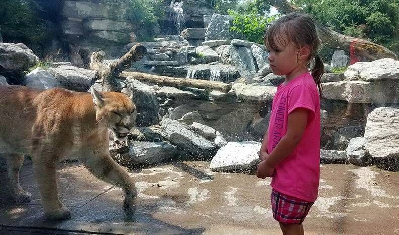 Gewoon een verzameling hilarische foto's #1123