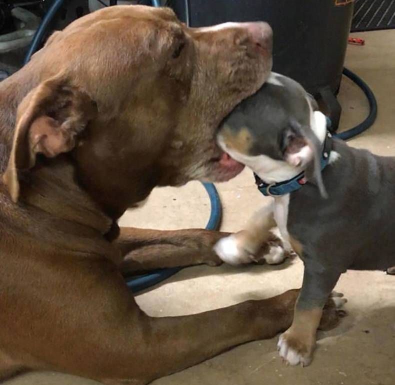 Gewoon een verzameling hilarische foto's #1079