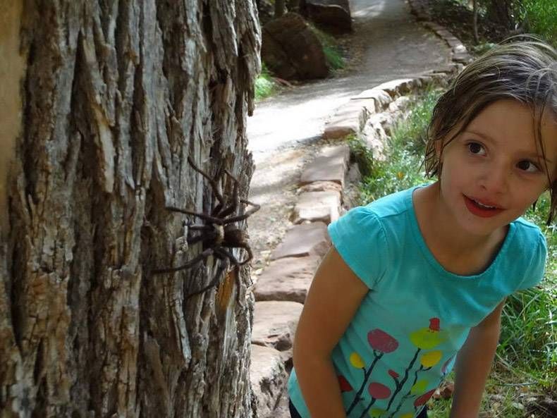 Gewoon een verzameling hilarische foto's #1037