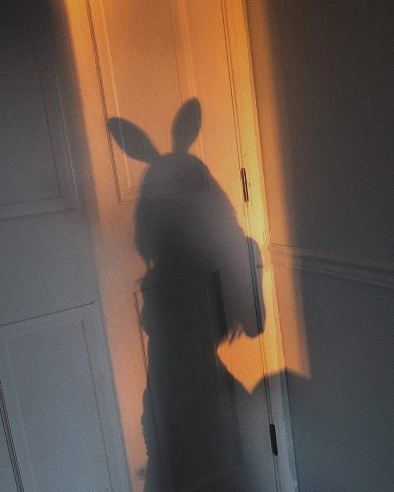 Gewoon een verzameling hilarische foto's #1024