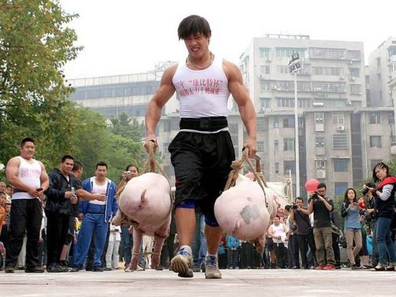 Gewoon een verzameling hilarische foto's #833