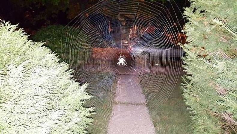 Gewoon een verzameling hilarische foto's #704