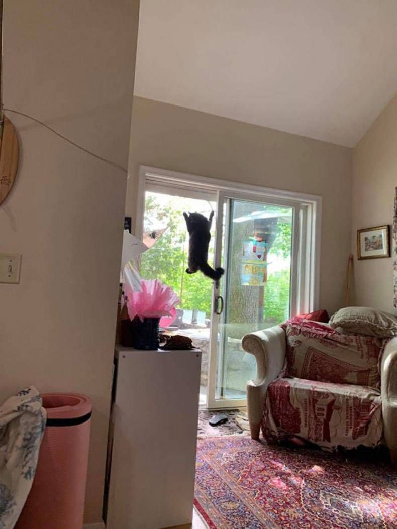 Gewoon een verzameling hilarische foto's #1287