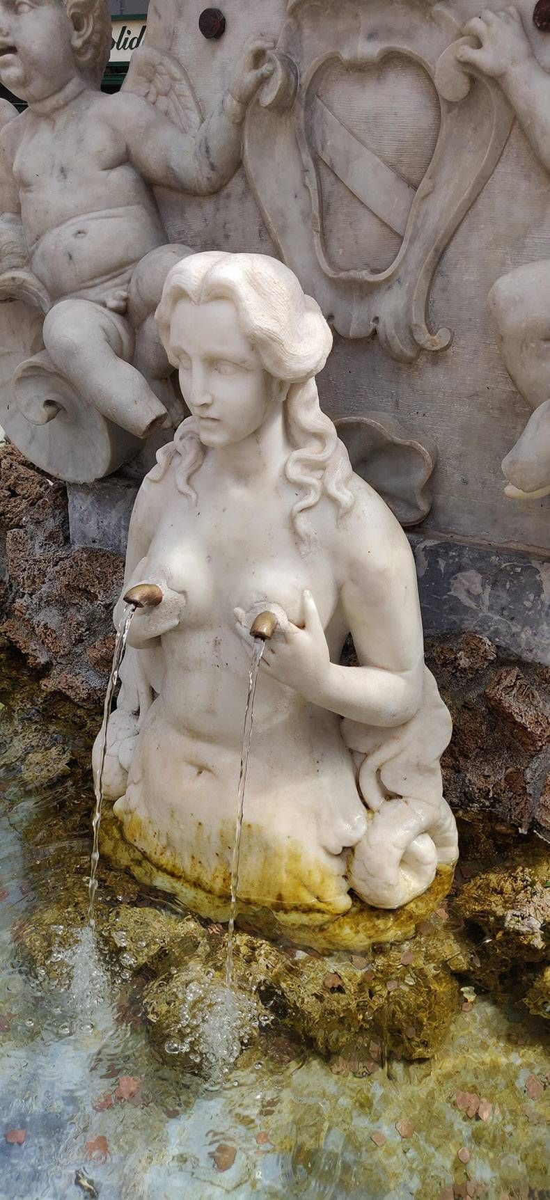 Gewoon een verzameling hilarische foto's #1161