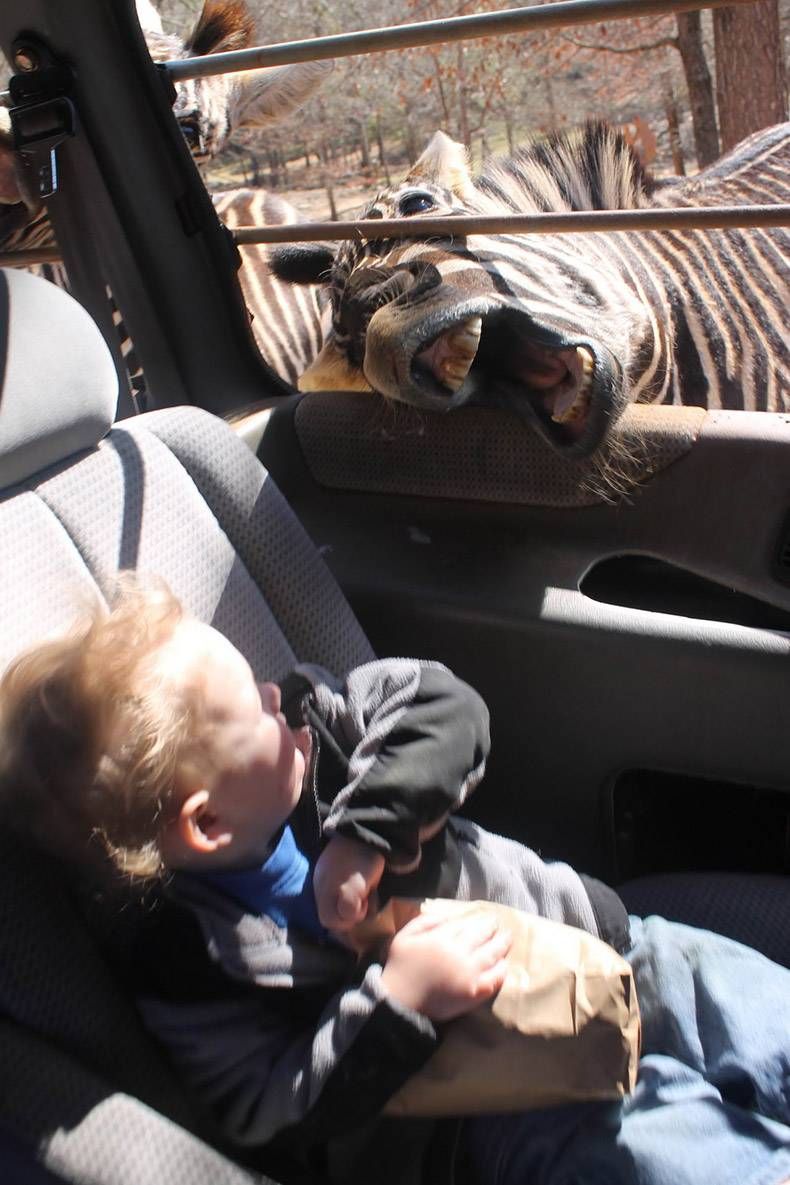 Gewoon een verzameling hilarische foto's #1123