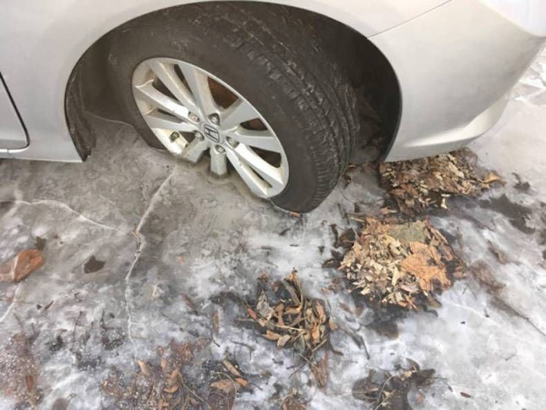 Gewoon een verzameling hilarische foto's #1088