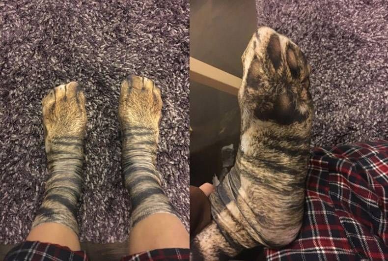 Gewoon een verzameling hilarische foto's #1079