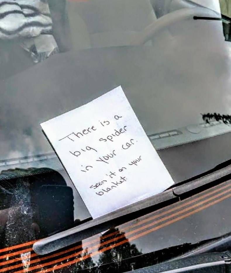 Gewoon een verzameling hilarische foto’s #978