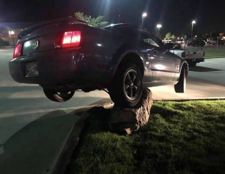 Gewoon een verzameling hilarische foto's #1205