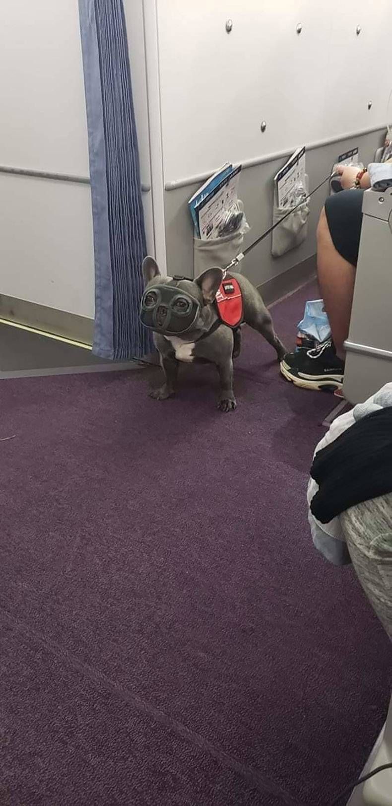 Gewoon een verzameling hilarische foto's #1178