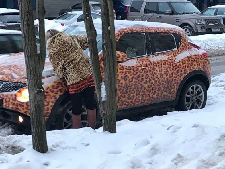 Gewoon een verzameling hilarische foto's #1077