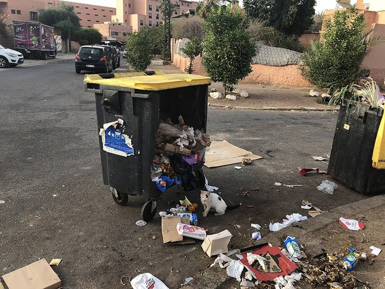 Gewoon een verzameling hilarische foto's #992