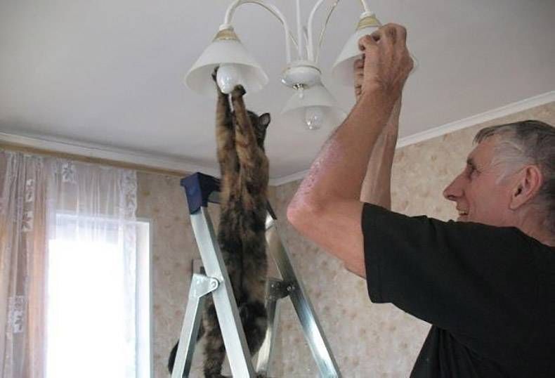 Gewoon een verzameling hilarische foto's #826