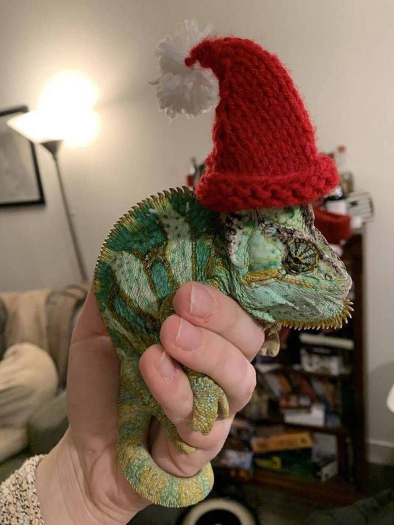 Gewoon een verzameling hilarische foto's #1222