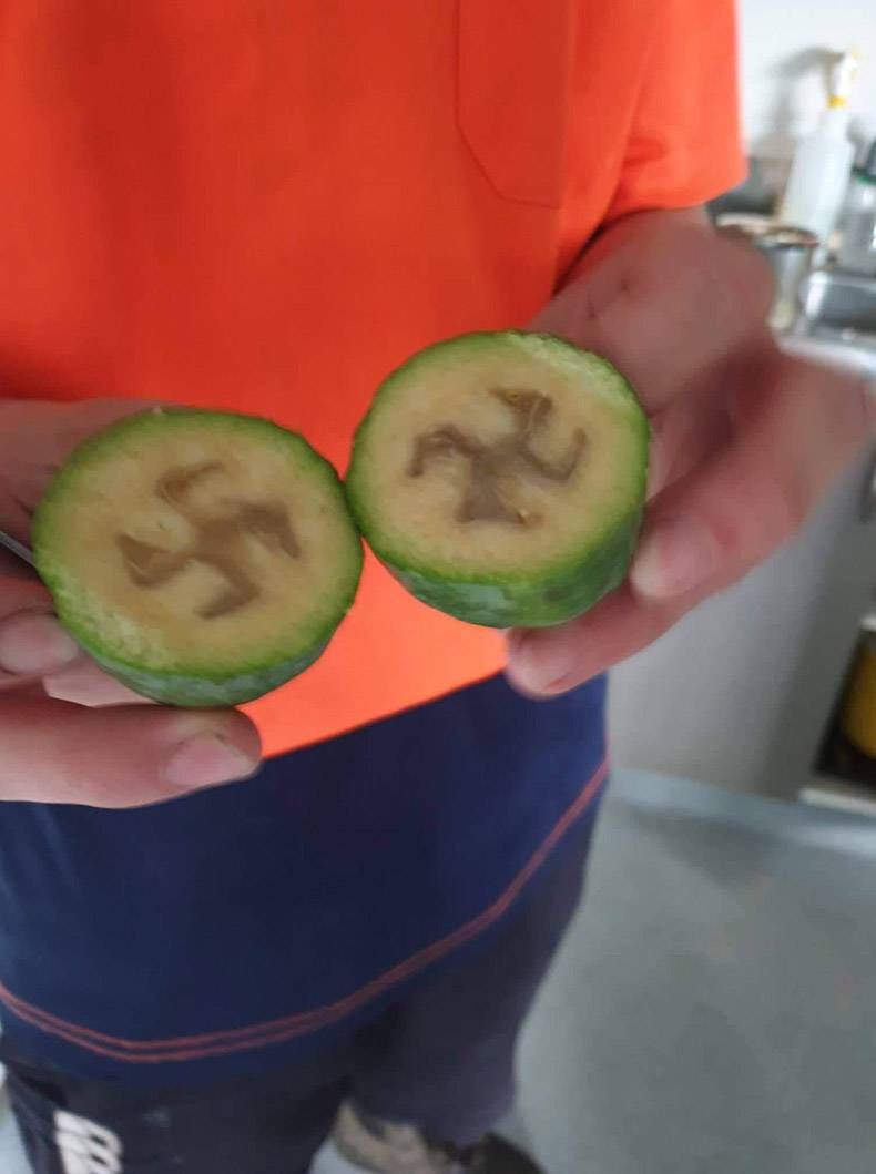 Gewoon een verzameling hilarische foto's #1194