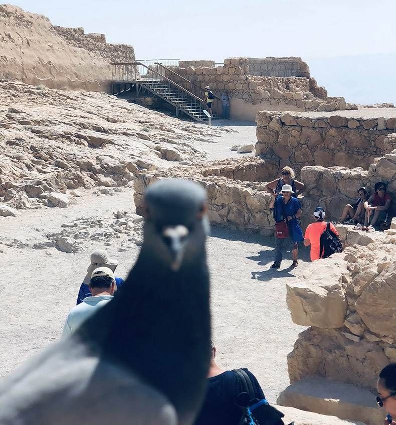 Gewoon een verzameling hilarische foto's #1094