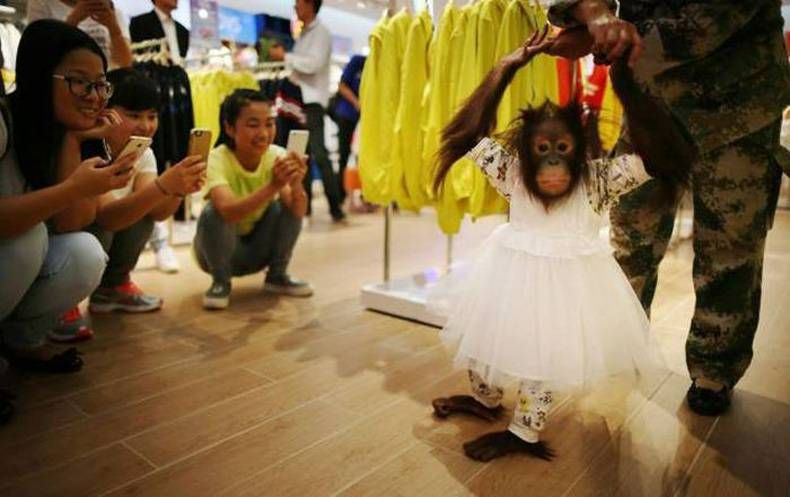 Gewoon een verzameling hilarische foto's #704