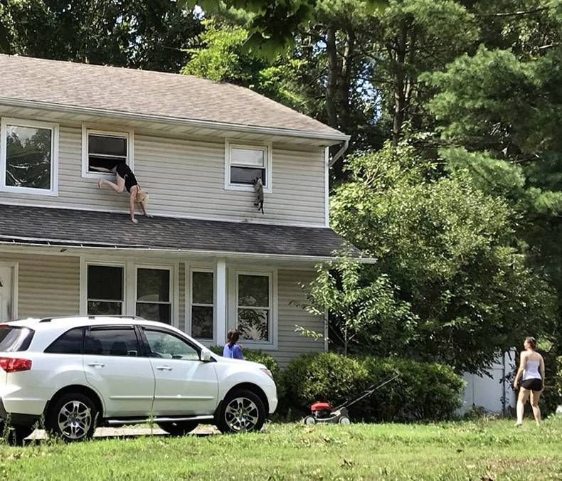 Gewoon een verzameling hilarische foto’s #1322