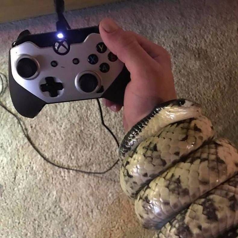 Gewoon een verzameling hilarische foto's #1077