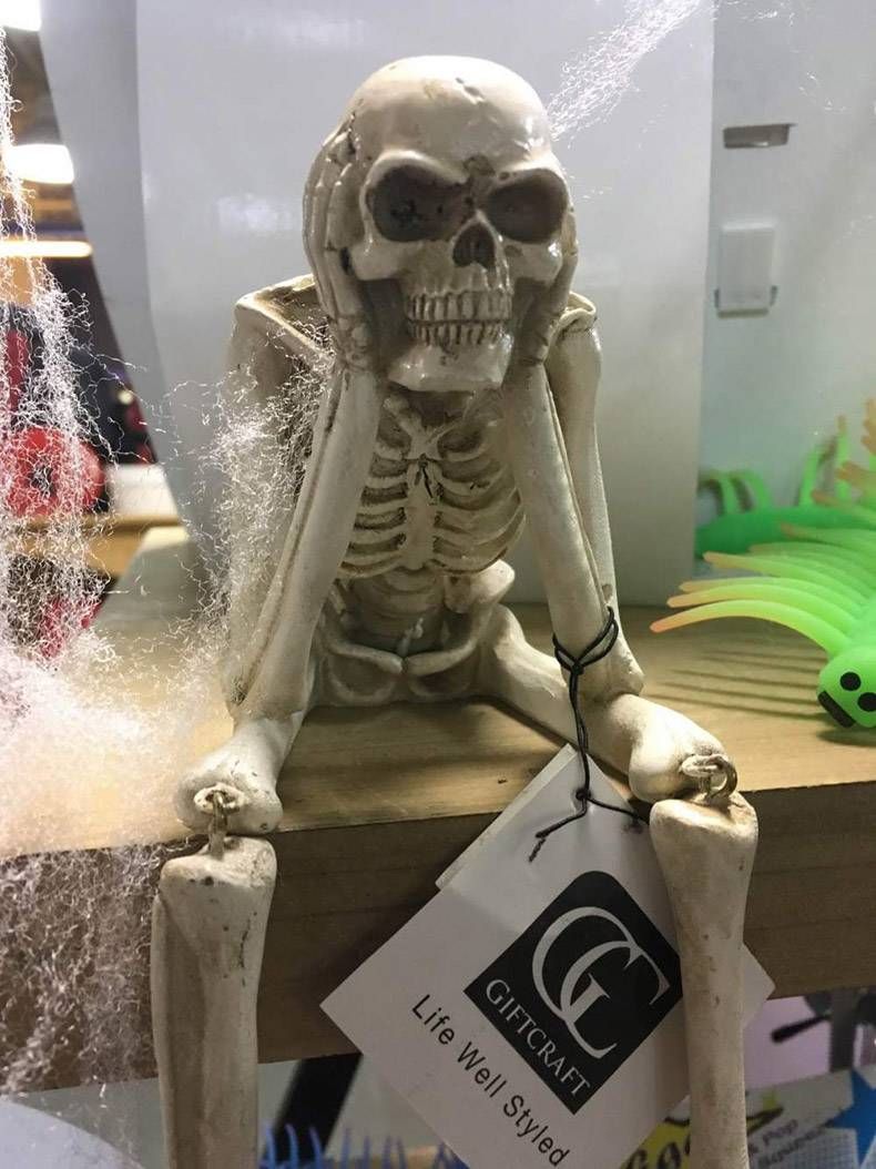 Gewoon een verzameling hilarische foto's #1037