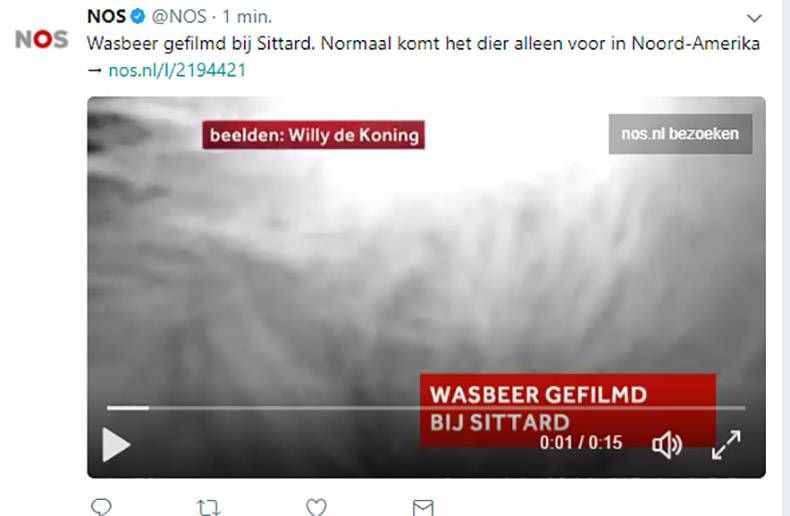 Gewoon een verzameling hilarische foto's #871