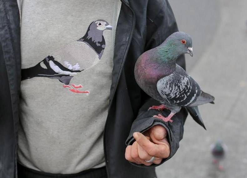 Gewoon een verzameling hilarische foto's #826