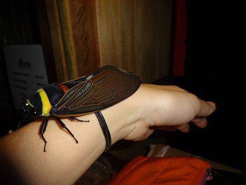 Gewoon een verzameling hilarische foto's #704