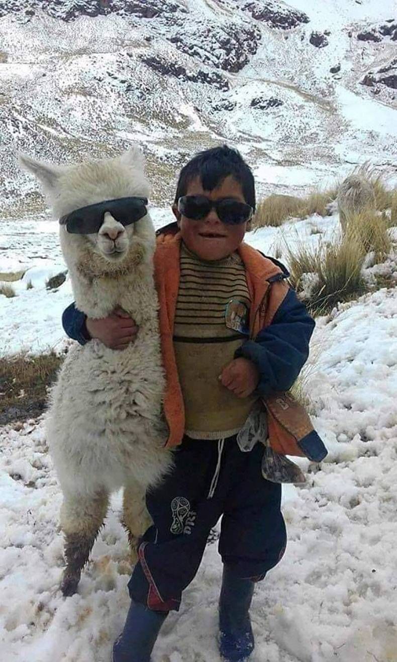 Gewoon een verzameling hilarische foto's #1240