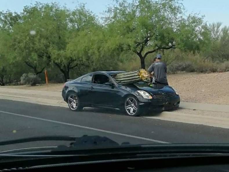 Gewoon een verzameling hilarische foto's #1152