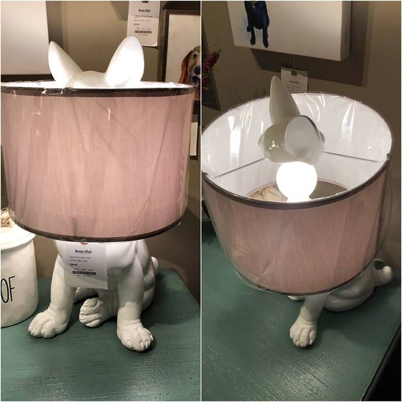 Gewoon een verzameling hilarische foto's #1130