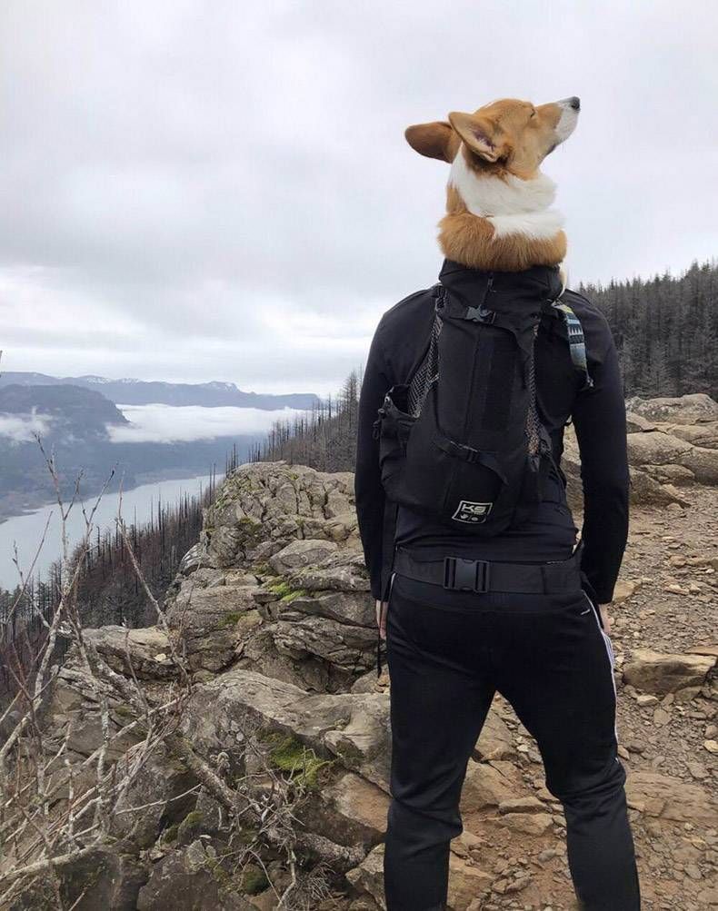 Gewoon een verzameling hilarische foto's #1079