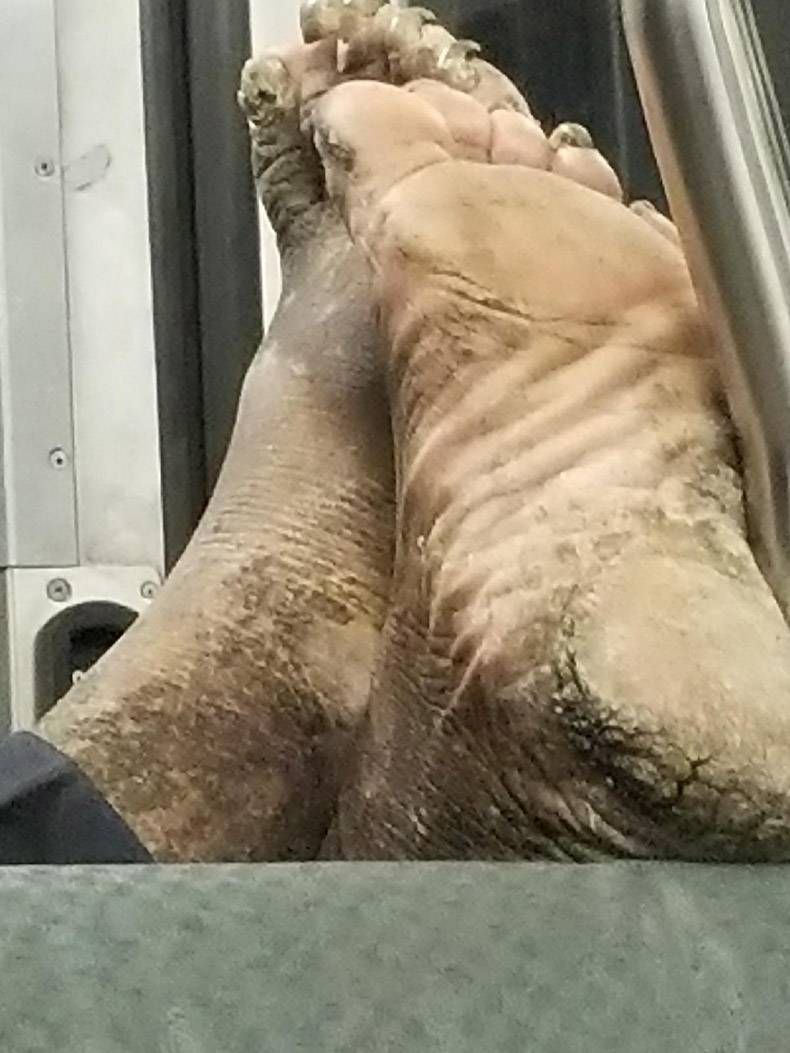 Gewoon een verzameling hilarische foto's #893