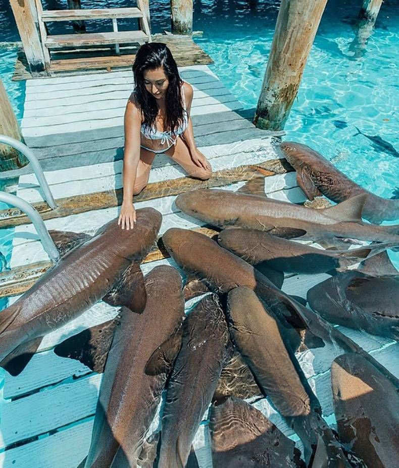 Gewoon een verzameling hilarische foto's #829