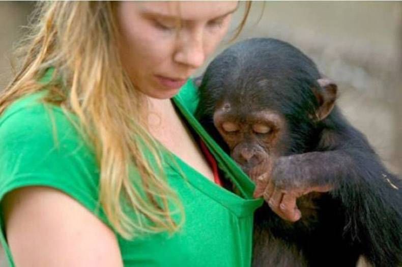 Gewoon een verzameling hilarische foto's #762