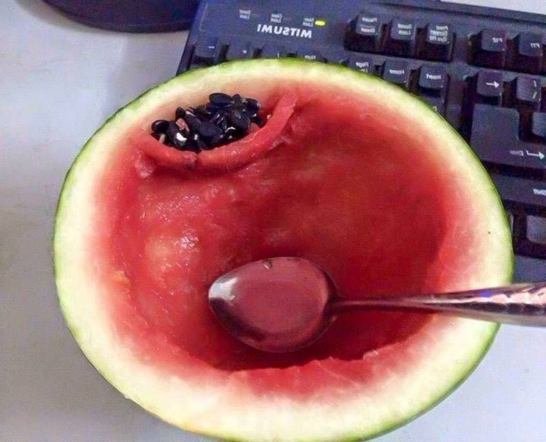Gewoon een verzameling hilarische foto's #1212