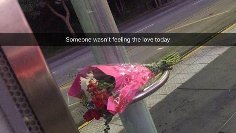 Gewoon een verzameling hilarische foto's #933