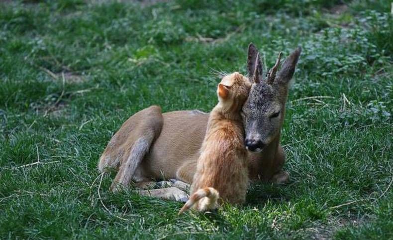 Gewoon een verzameling hilarische foto’s #858