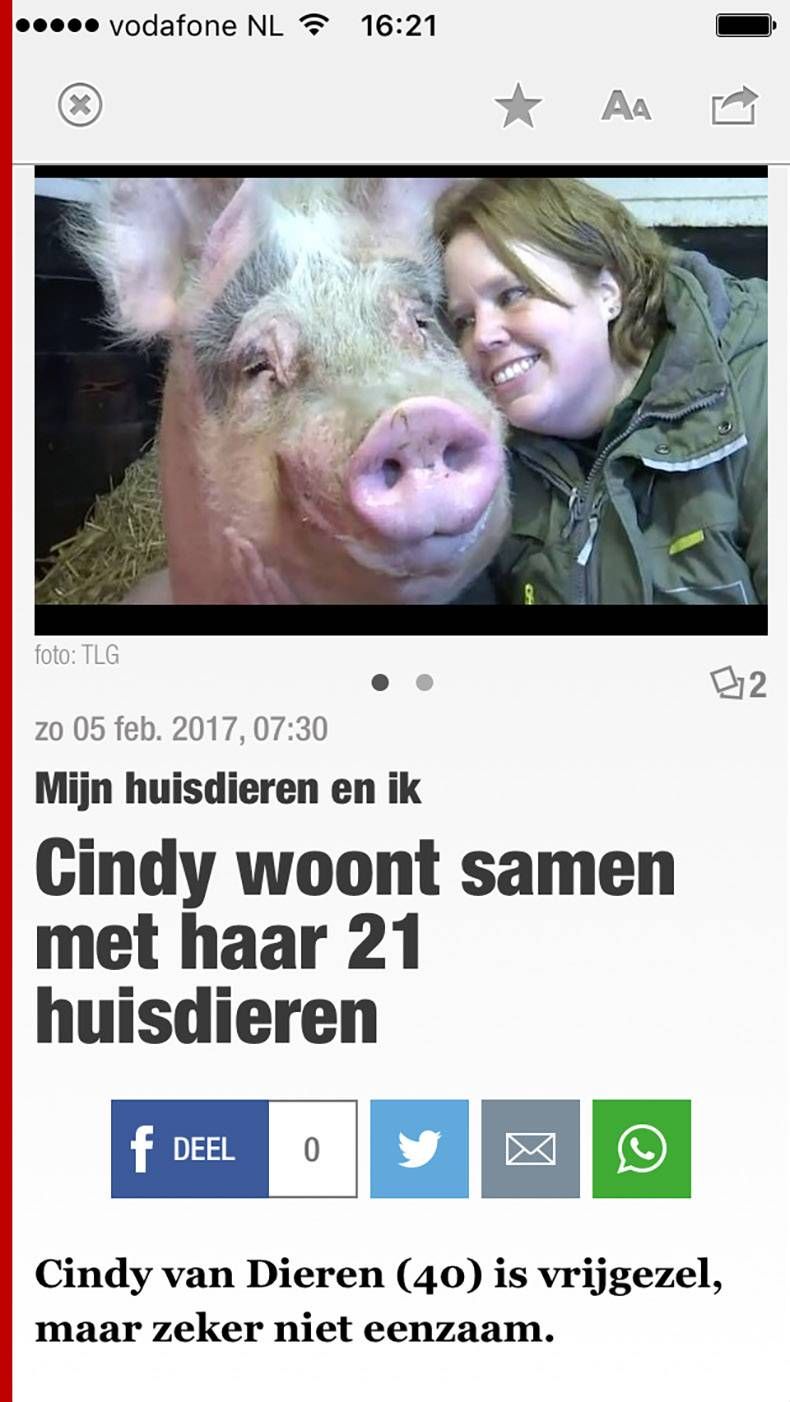 Gewoon een verzameling hilarische foto's #772