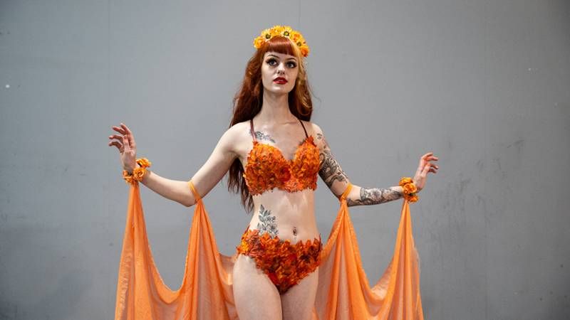 Heroes Dutch Comic Con 2019 in beeld