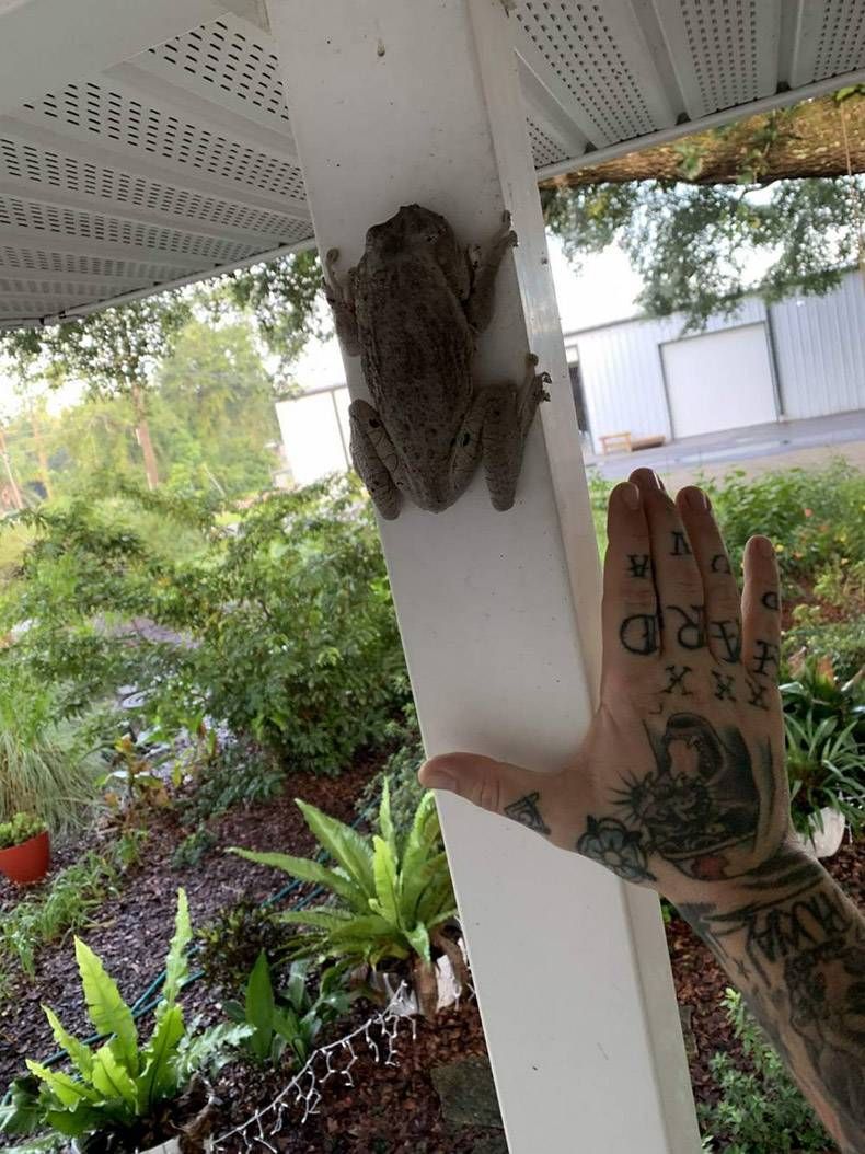 Gewoon een verzameling hilarische foto's #1321