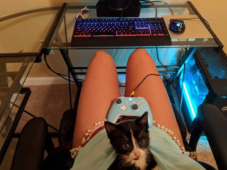 Gewoon een verzameling hilarische foto's #1294